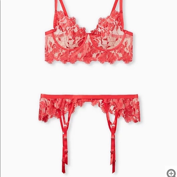 Raspberry garter belt - Picture 3 of 4